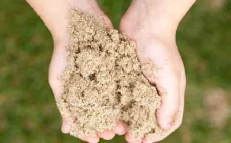 person hält sandboden in den händen