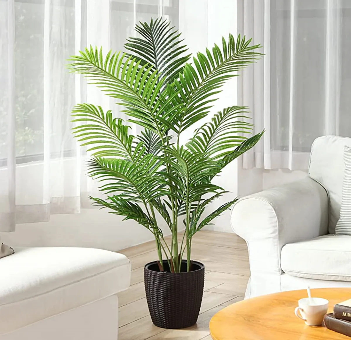 areca palme große zimmerpflanze wohnzimmer weißer sessel holz couchtisch