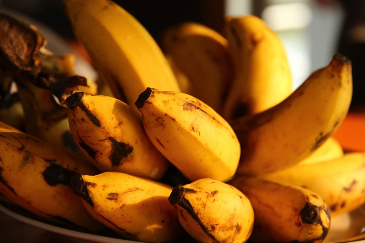 bananen als wurzelaktivator