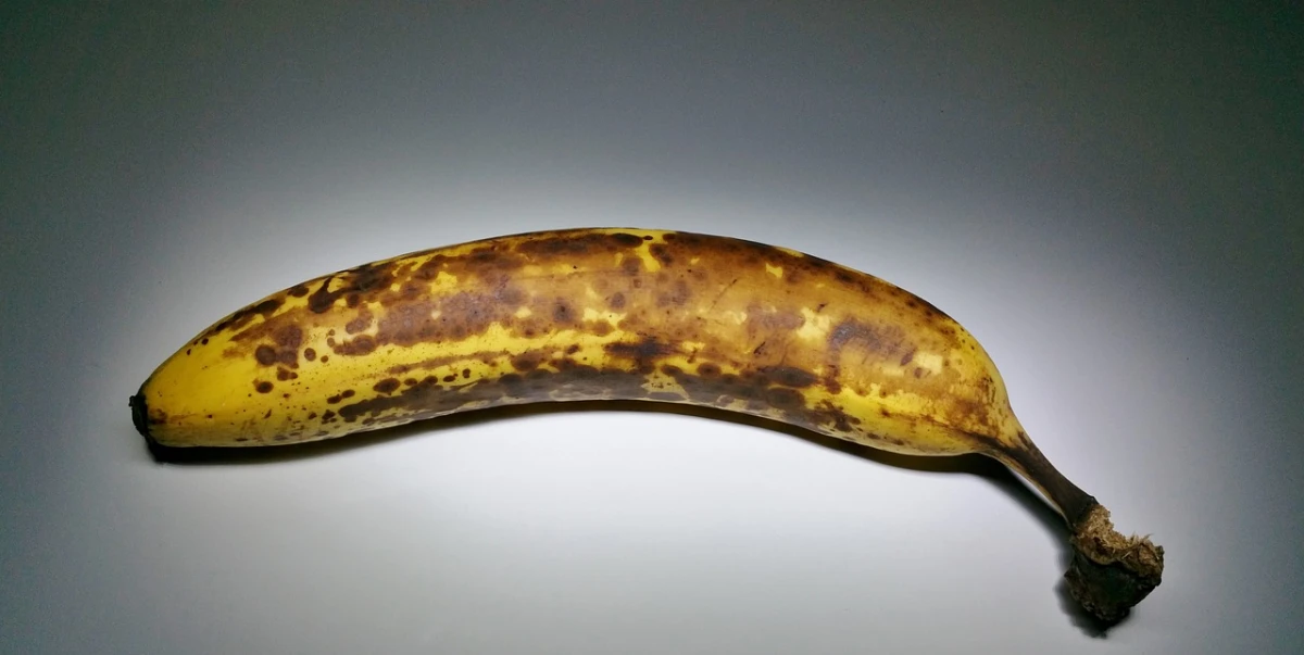 bananen trick fuer pflanzen wurzeln