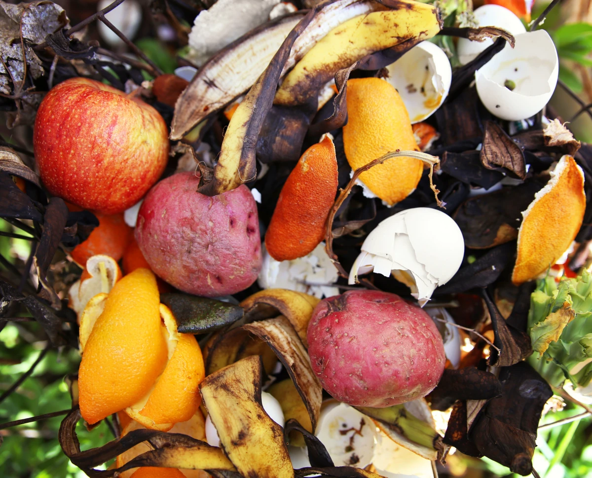 bananenschalen bio abfall kompost