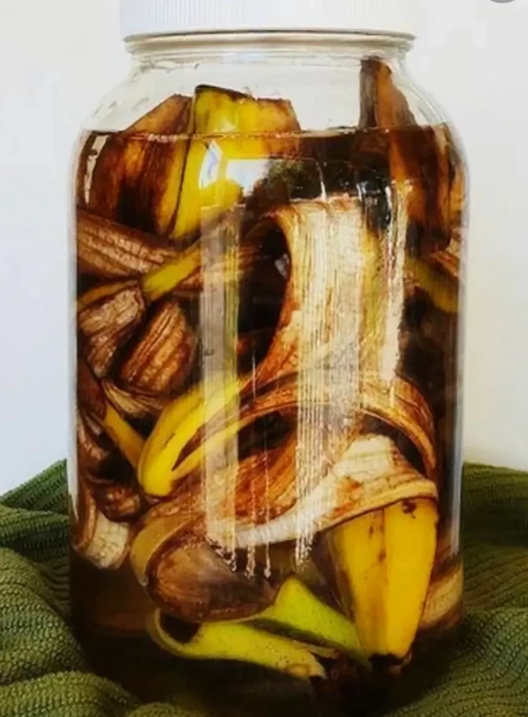 bananensud