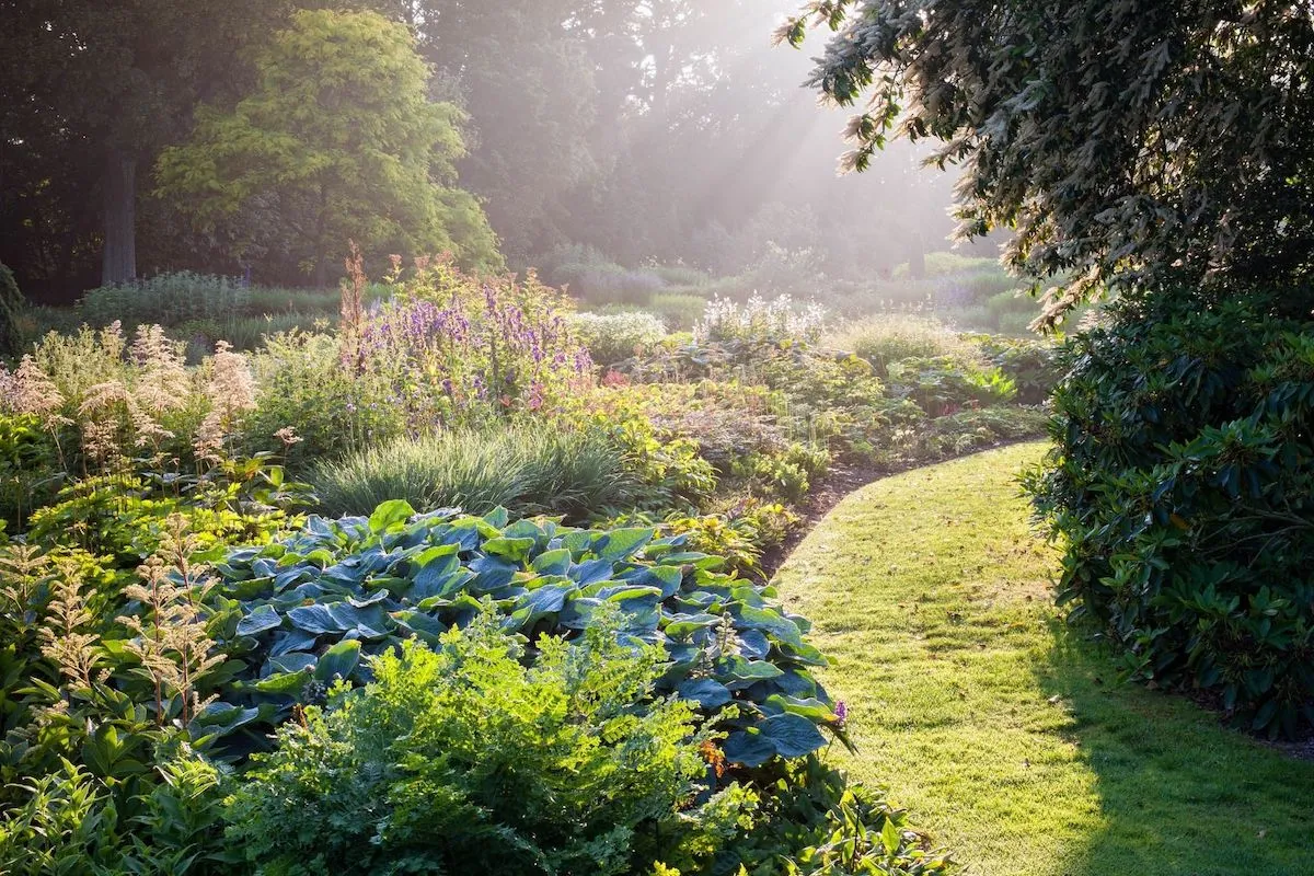 einfach so schützen sie ihren garten vor dem hitzekollaps