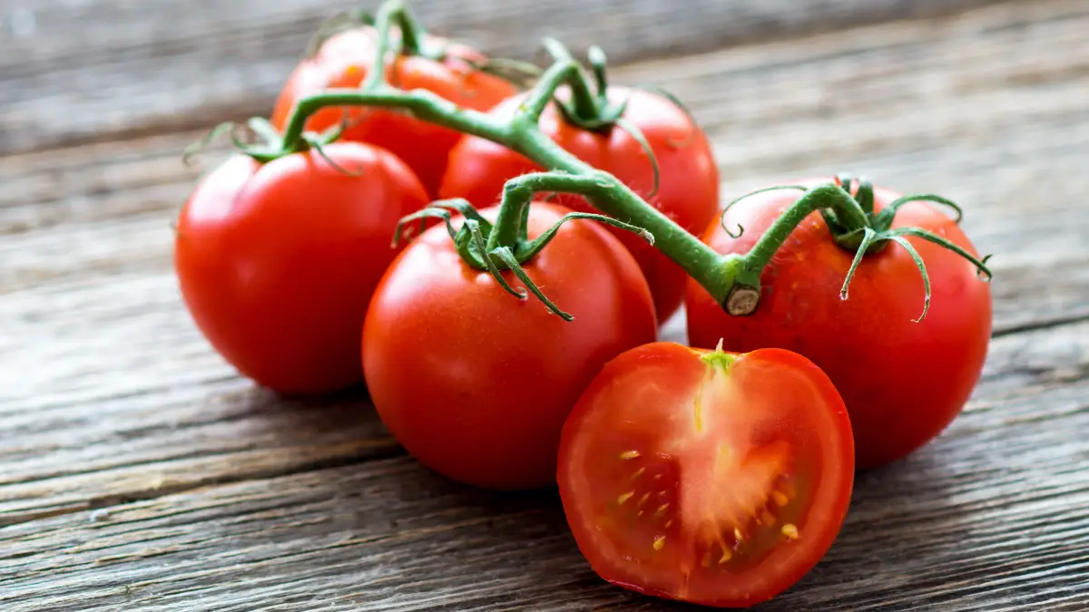 sehr viele mueckenstiche auf einmal mueckenstiche schwellungen hausmittel rote tomaten am zweig