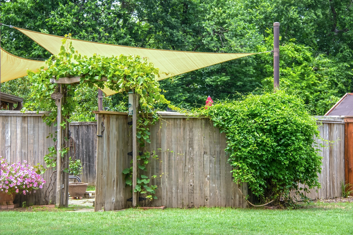 tricks so schützen sie ihren garten vor dem hitzekollaps