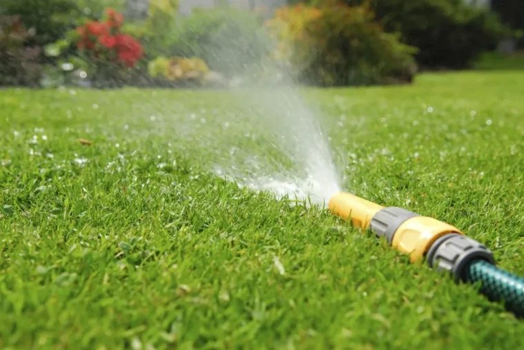 was macht den rasen grüner bewässern nach temperatur und feuchtigkeit