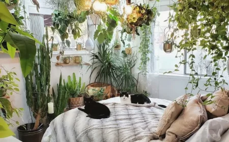 welche pflanzen fuer gute luft im schlafzimmer schlafzimmer mit vielen pflanzen zwei katzen auf dem bett