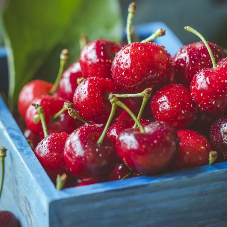 wie lange vor dem schlafen nichts essen abnehmen suaerkirschen vor schlafen essen