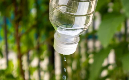 plastikflasche mit loch für diy tröpfchenbewässerung