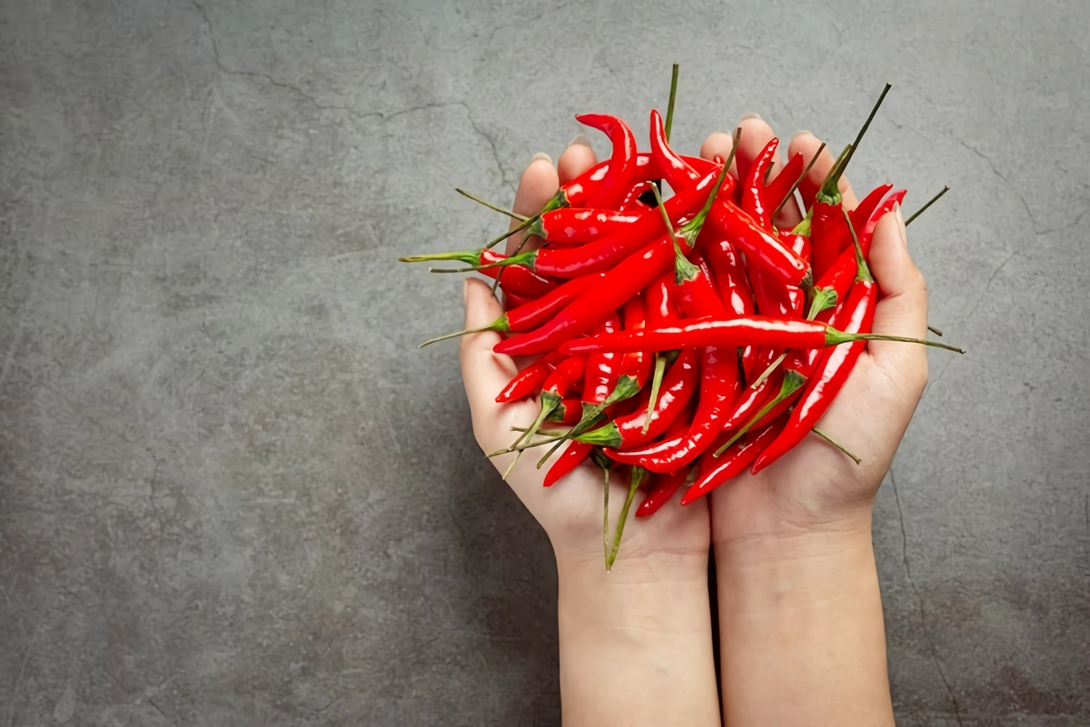 abnehmen mit chili paprika in haenden fett verbrennen