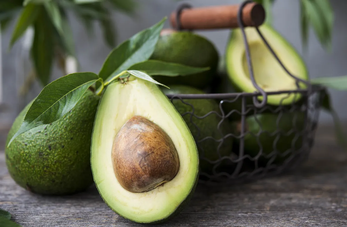 avocado halbiert superfrucht viele nützliche substanzen