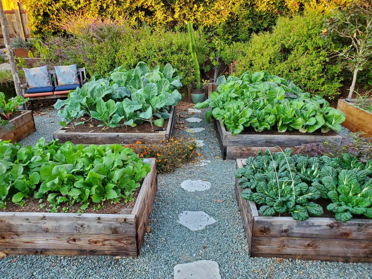 ein einfacher weg das unkraut im garten loszuwerden