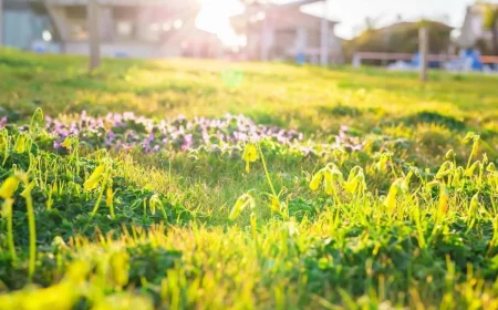 eine huebsche loesung gegen unkraut im garten