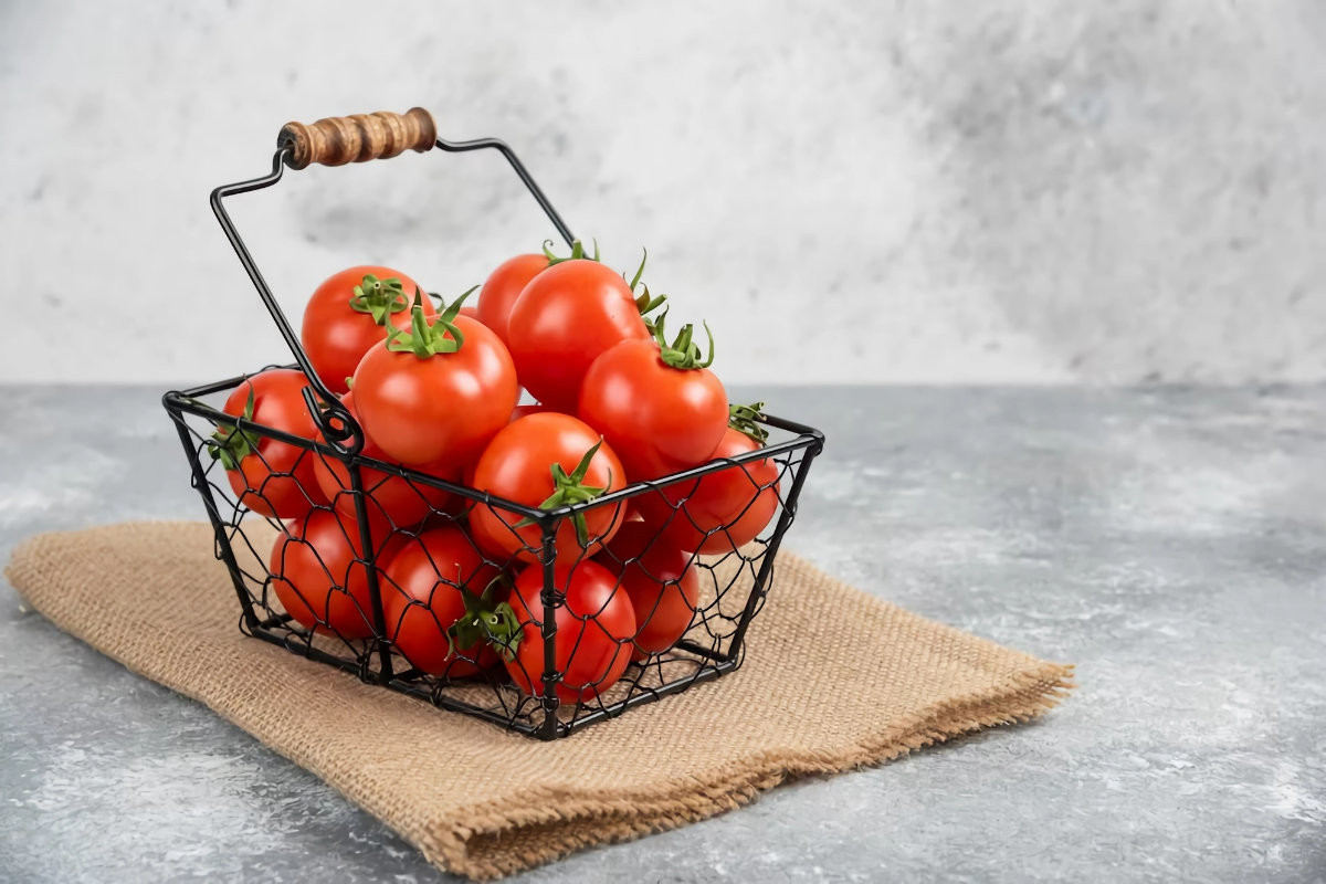 frisch geerntete tomaten lagern rote fruechte tisch