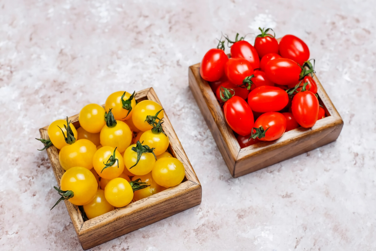 frische tomaten lagern richtige aufbewahrung gelbe und rote cherrytomaten