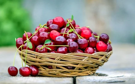 kirschen jeden tag essen gesundheitliche vorteile