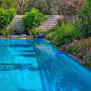 kuebelpflanzen pool topfpflanzen sommer 2023