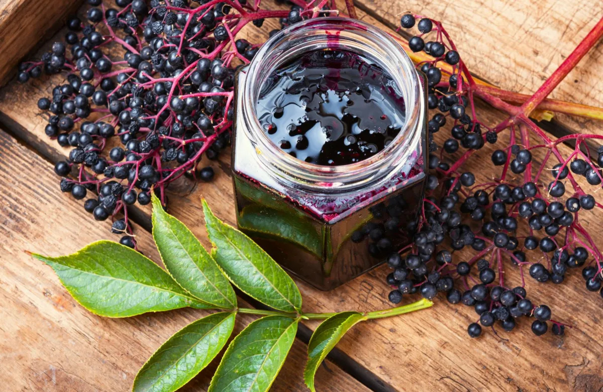 marmelade aus holunderbeeren in glas blätter und beeren