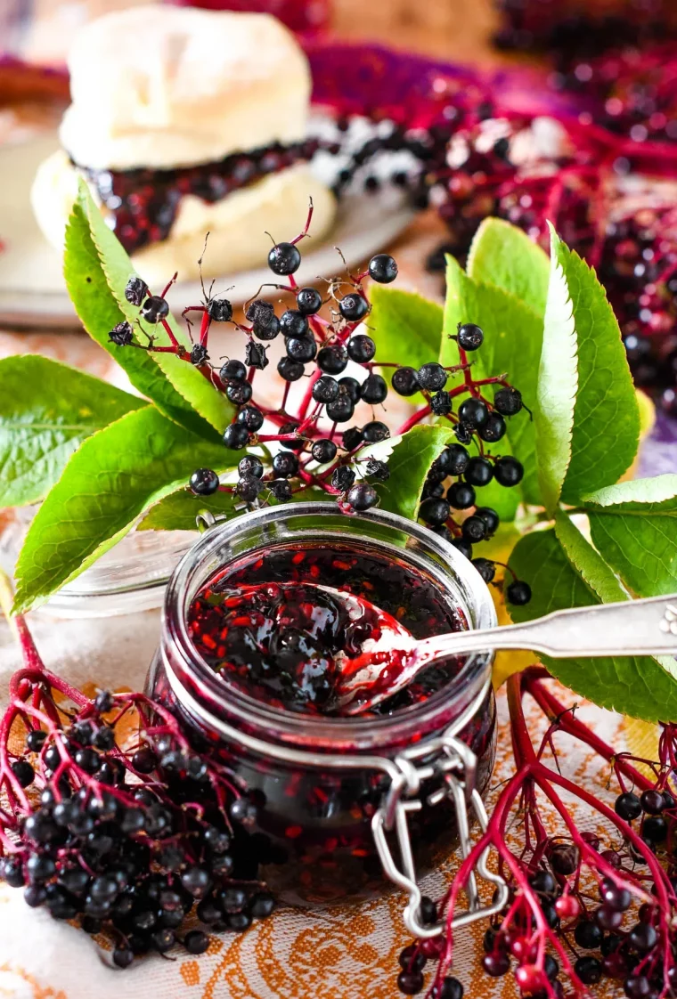 marmelade aus holunderbeeren in glas mit brot genießen