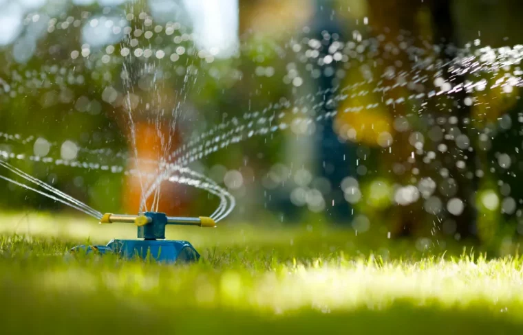 rasen bewässern im sommer mit sprinkler