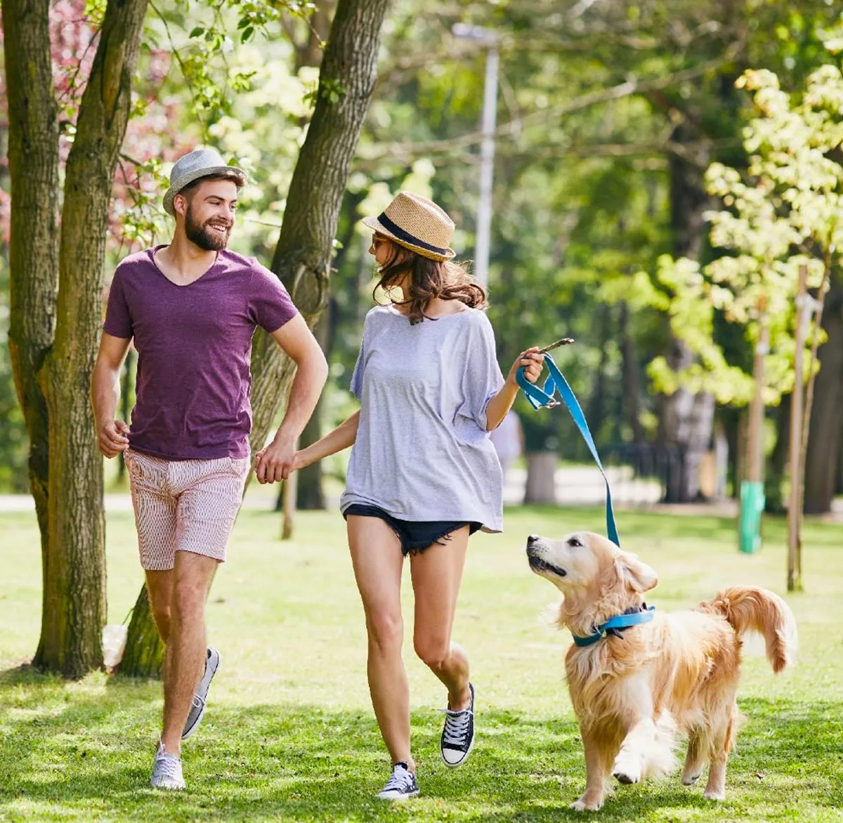 spaziergng im park paar mit hund im sommer