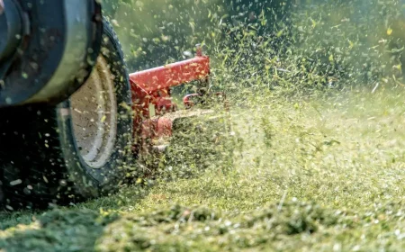 tipps fuer rasen nach dem maehen liegen lassen