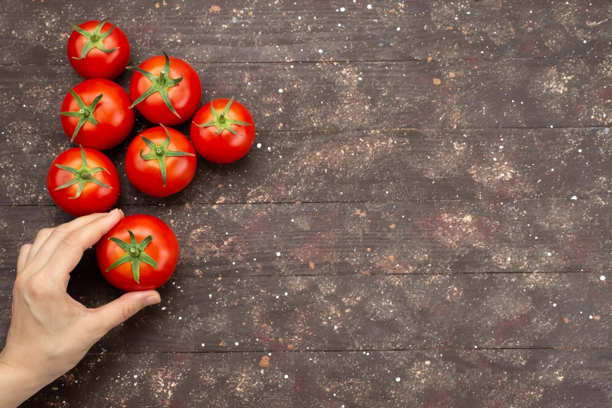 tomatensamen selbst entnehmen schritt furt schritt anleitung