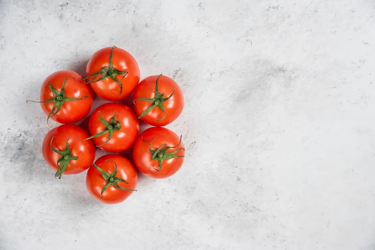 tomatensamen selbst gewinnen kleine rote tomaten cocktailstomaten