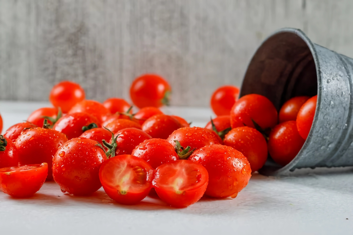 tomatensamen selbst gewinnen und fuers naechte jahr aufbewahren