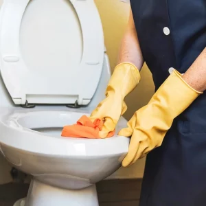 uringeruch neutralisieren in der toilette urin toilettenschuessel reinigen