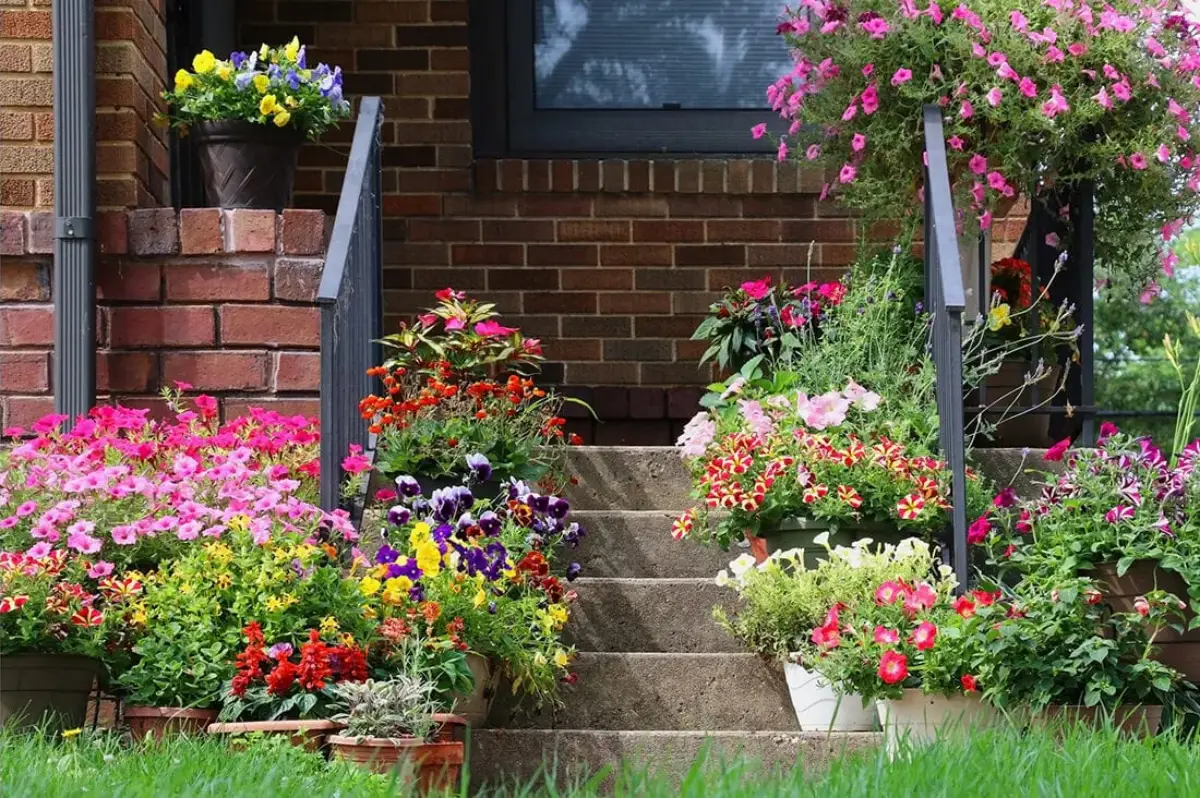 welche blumen in spaetsommer einpflanzen sommer pflanzen haus eingang mit blumen