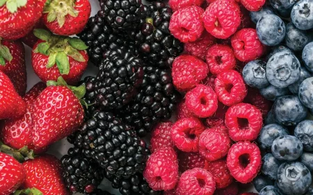 zeit für die beerenernte reife erdbeeren brombeeren himbeeren und blaubeeren