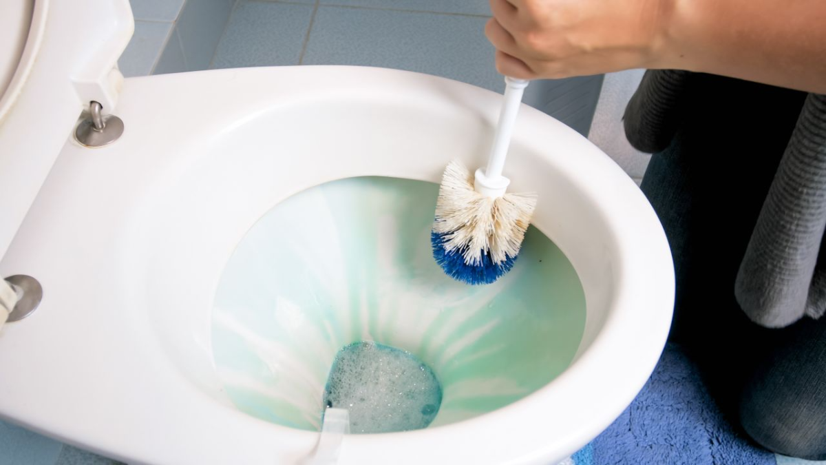 reinigung der klobürste mit badreiniger
