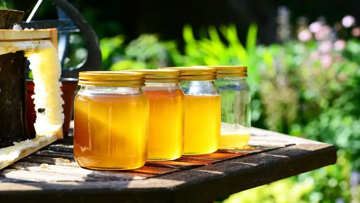abgelaufene lebensmittel anzeige kann honig ablaufen vier glasgefaesse mit honig