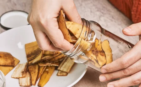 alte bananen nicht wegwerfen dünger aus bananenschalen selbst herstellen in einmachglas aufbewahren