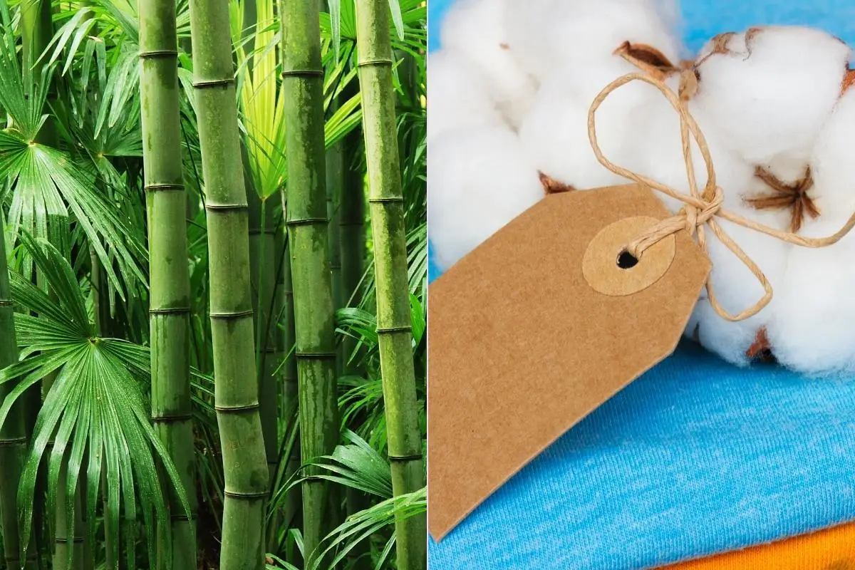 baumwolle oder bambus in welchem stoff schwitzt man im sommer nicht bambus baum baumwolle gewebe