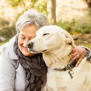 entspannte hunde aeltere frau kuschelt ihren labrador im park