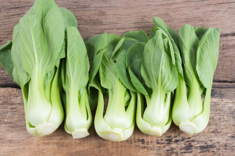 fünf stücke bok choi auf holztisch