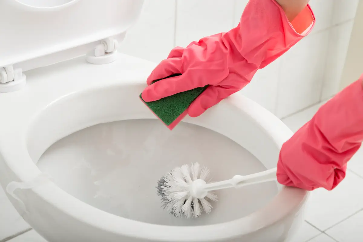 kann man mit spuelmittel die toilette reinigen frau mit rosa hundschuhen reinigt toilette mit schwamm und buerste