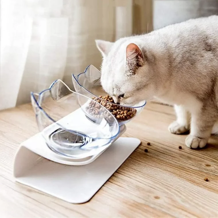 unparfuemiertes spuelmittel verwenden wenn futternapf reinigen katze riecht ihr futternapf aus glas