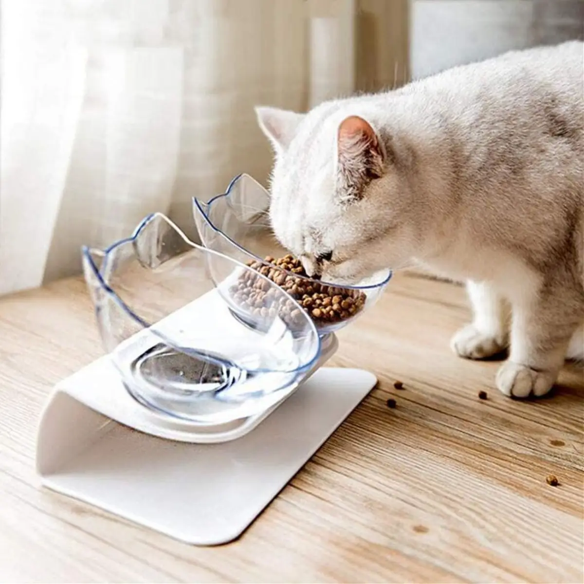 unparfuemiertes spuelmittel verwenden wenn futternapf reinigen katze riecht ihr futternapf aus glas