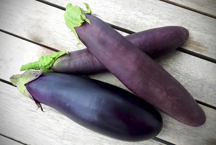 wann ist eine aubergine reif zum ernten drei auberginen zwei ueberreift ohne glanz