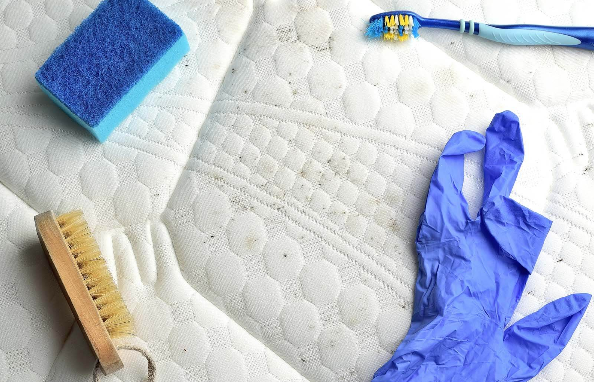blauer handschuh und bürsten zum reinigen der weißen matratze von schimmel