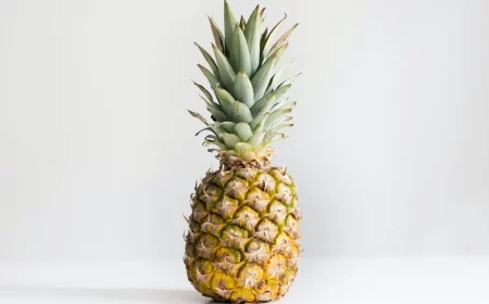 einfach ananas aus einer frucht selber zuechten