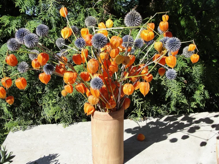 gartendekoration mit physalis