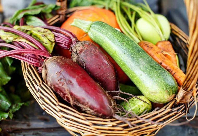 gemuese richtig lagern zucchini karotten herbstgemuese