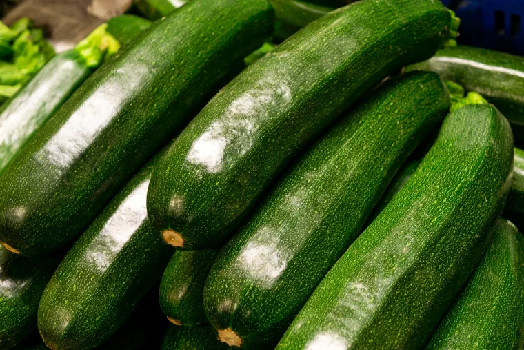 gruene zucchinis im korb gepflueckte zucchinifruechte
