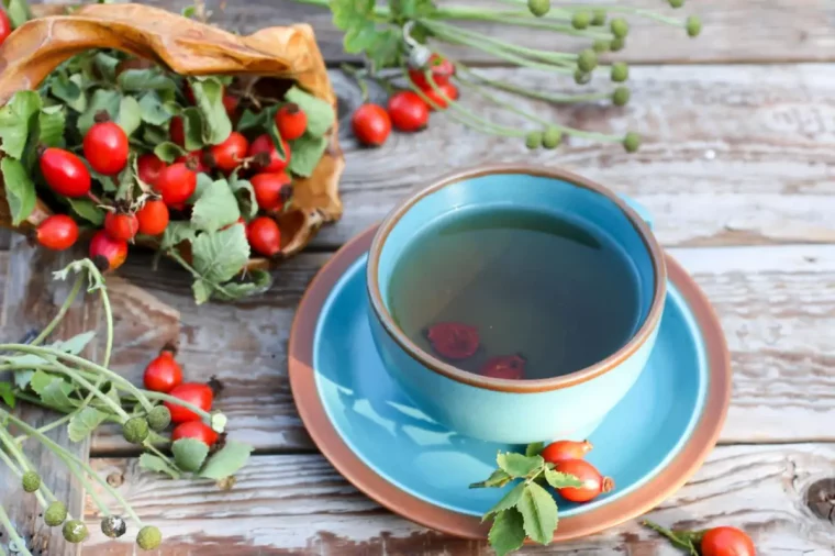 hagebuttenpulver wofuer hagebuttentee selber machen tasse mit hagebuttentee