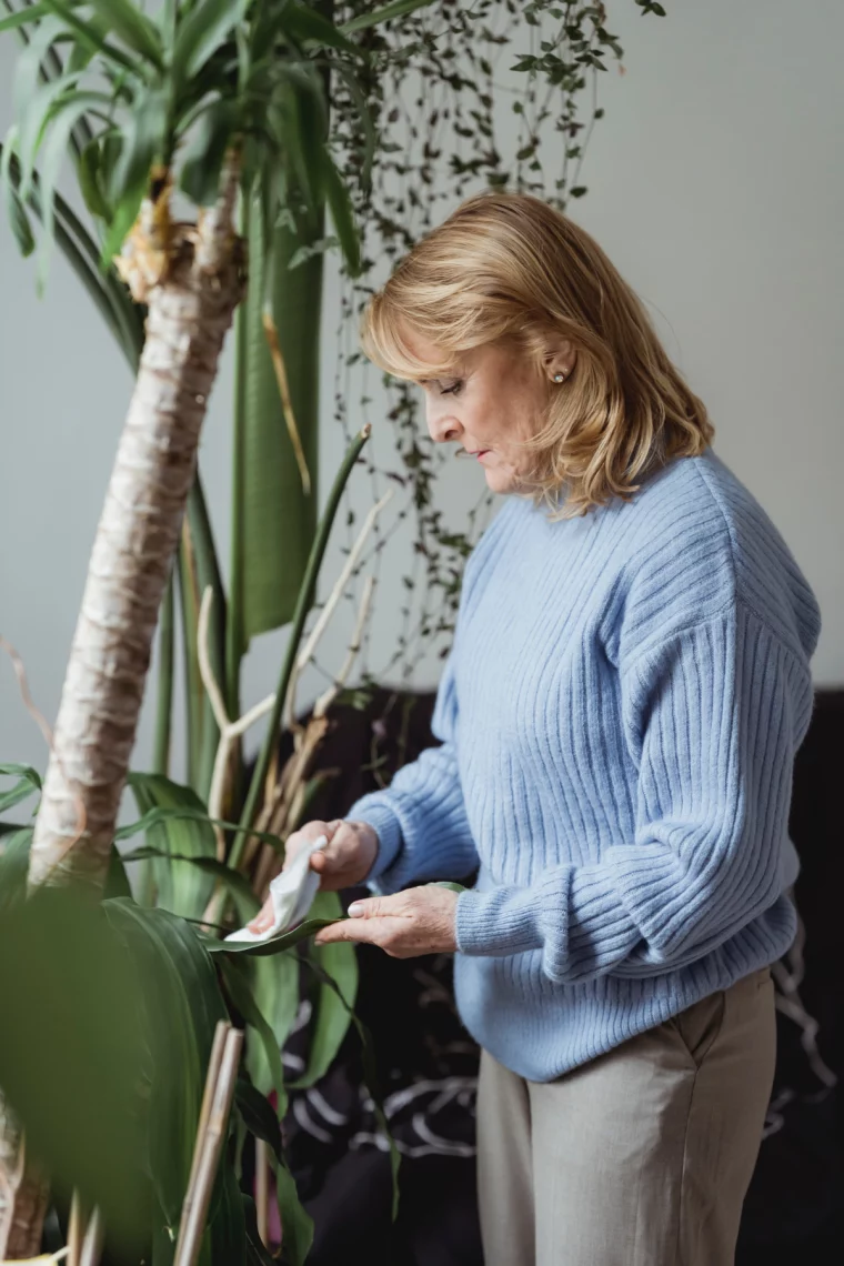 pexels blaetter abwischen mit hausmittel