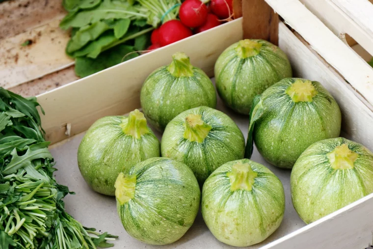 wie zucchini lagern sodass sie laenger frisch bleiben